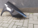 Aripa Fata Dreapta Seat Ibiza An 2008-2012 Vopsita Negru