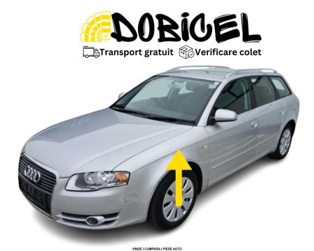 Aripa Argintiu gri stanga fata Audi A4 B7 LY7W LX7W NOUA 2004-2007 LIVRARE GRATUITA vopsita 8E0821105F