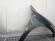 Aripa Fata Dreapta Hyundai Santa-Fe 2005-2009 (2J (Gri Inchis))