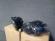 Proiector ceata dreapta Audi A4 B6 2000-2004