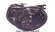 Proiector ceata Audi A6 C5 4B 2000-2004 DREAPTA